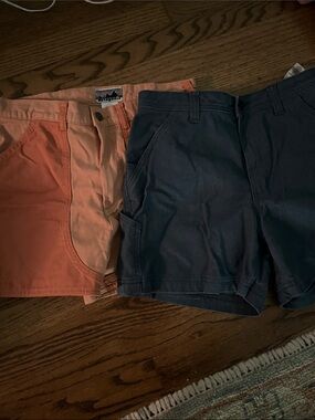 Patagonia Men’s Cargo Shorts in Coral and Navy